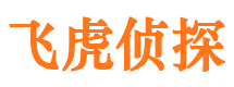 乐安市调查取证